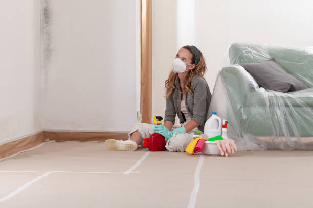 Reliable Basement Mold Remediation contractor in Landisburg, PA by WQB Mold Removal
